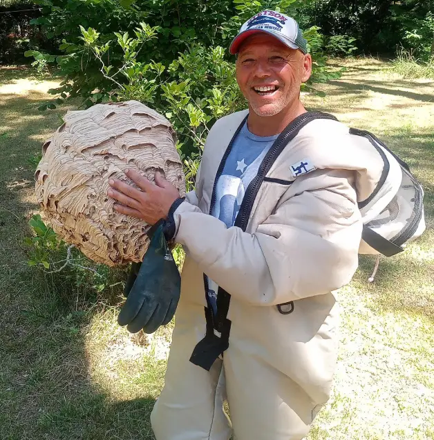 Portrait de Nicolas avec un nid de guêpes germaniques