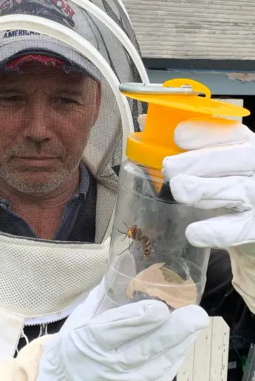 Nicolas votre allié contre le frelons