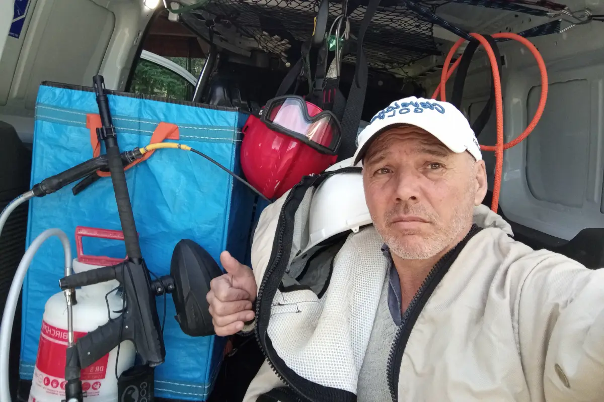 Intervention professionnelle pour l’élimination de frelons et guêpes à Mérignac