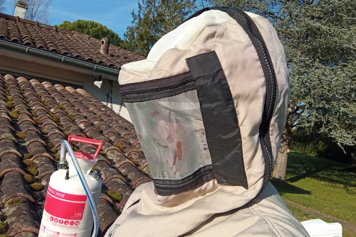 Service de désinsectisation 7j/7 pour guêpes et frelons à Mérignac